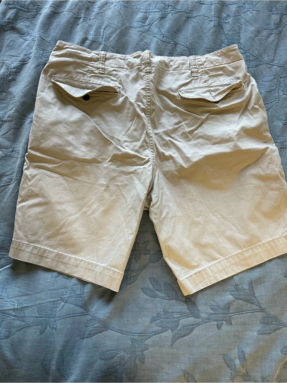 American Eagle Outfitters Men's Tan Flat Front Shorts